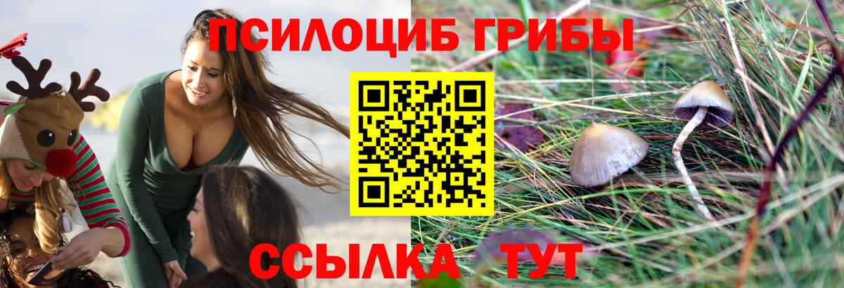 Псилоцибиновые грибы MAGIC MUSHROOMS Тулун